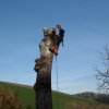 Treeclimbing 2016